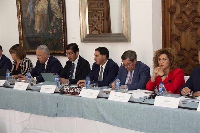 Comisión de Diputaciones Provinciales, Cabildos y Consejos Insulares de la Federación Española de Municipios y Provincias 