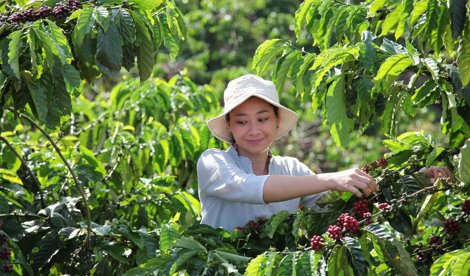 Comunicados Internacional
