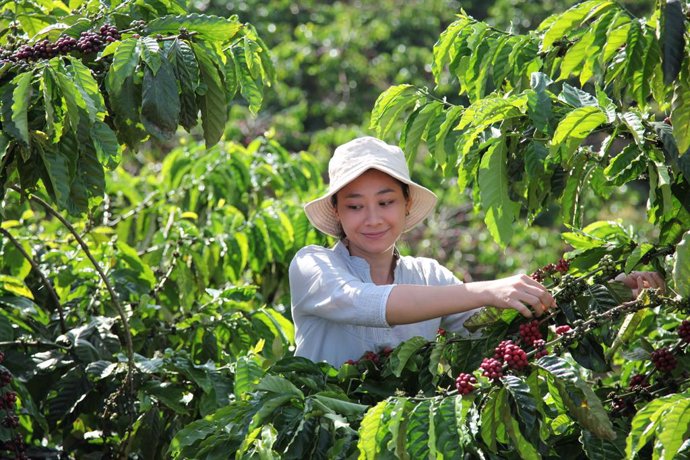 The Nescafé Plan 2030 - helping to drive regenerative agriculture, reduce greenhouse gas emissions and improve farmers livelihoods