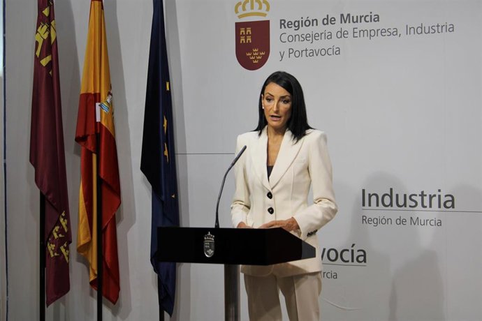 La consejera de Empresa, Empleo, Universidades y Portavocía, Valle Miguélez, en rueda de prensa