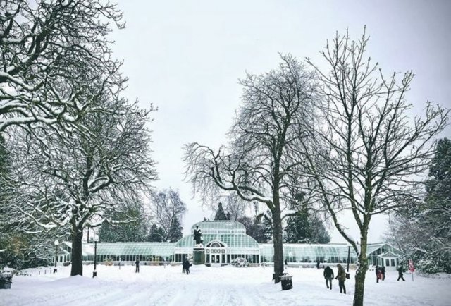 En el nordeste del Pacífico, los inviernos de La Niña tienden a ser más fríos y húmedos que el promedio.