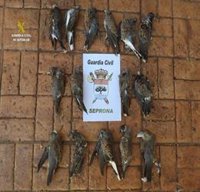 Denunciados siete cazadores en la Sierra Norte de Sevilla, tres de ellos por matar especies amenazadas