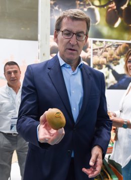 El presidente del Partido Popular, Alberto Núñez Feijóo, sujeta un kiwi tras su visita a la Feria Internacional de Frutas y Verduras, Fruit Attraction 2023, en la Feria de Madrid, Ifema, a 4 de octubre de 2022, en Madrid (España). La feria internacion