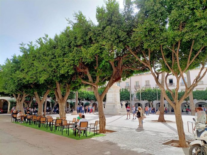 La Plaza Vieja de Almería con árboles.