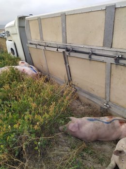 Camión accidentado en Lorca (Murcia)