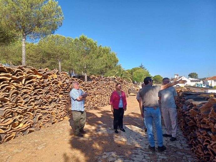 La delegada territorial de Sostenibilidad, Medio Ambiente y Economía Azul de la Junta de Andalucía en Sevilla, Inmaculada Gallardo, ha supervisado los trabajos en la Sierra Morena sevillana, concretamente, en el término municipal de Almadén de la Plata.