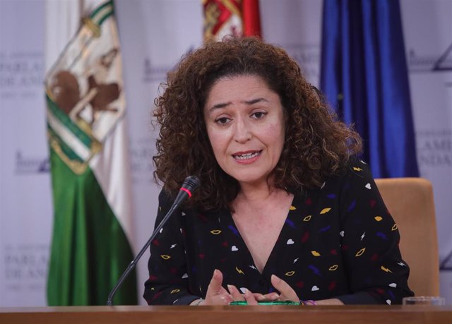 La portavoz de Por Andalucía, Inmaculada Nieto, este miércoles en rueda de prensa en el Parlamento.
