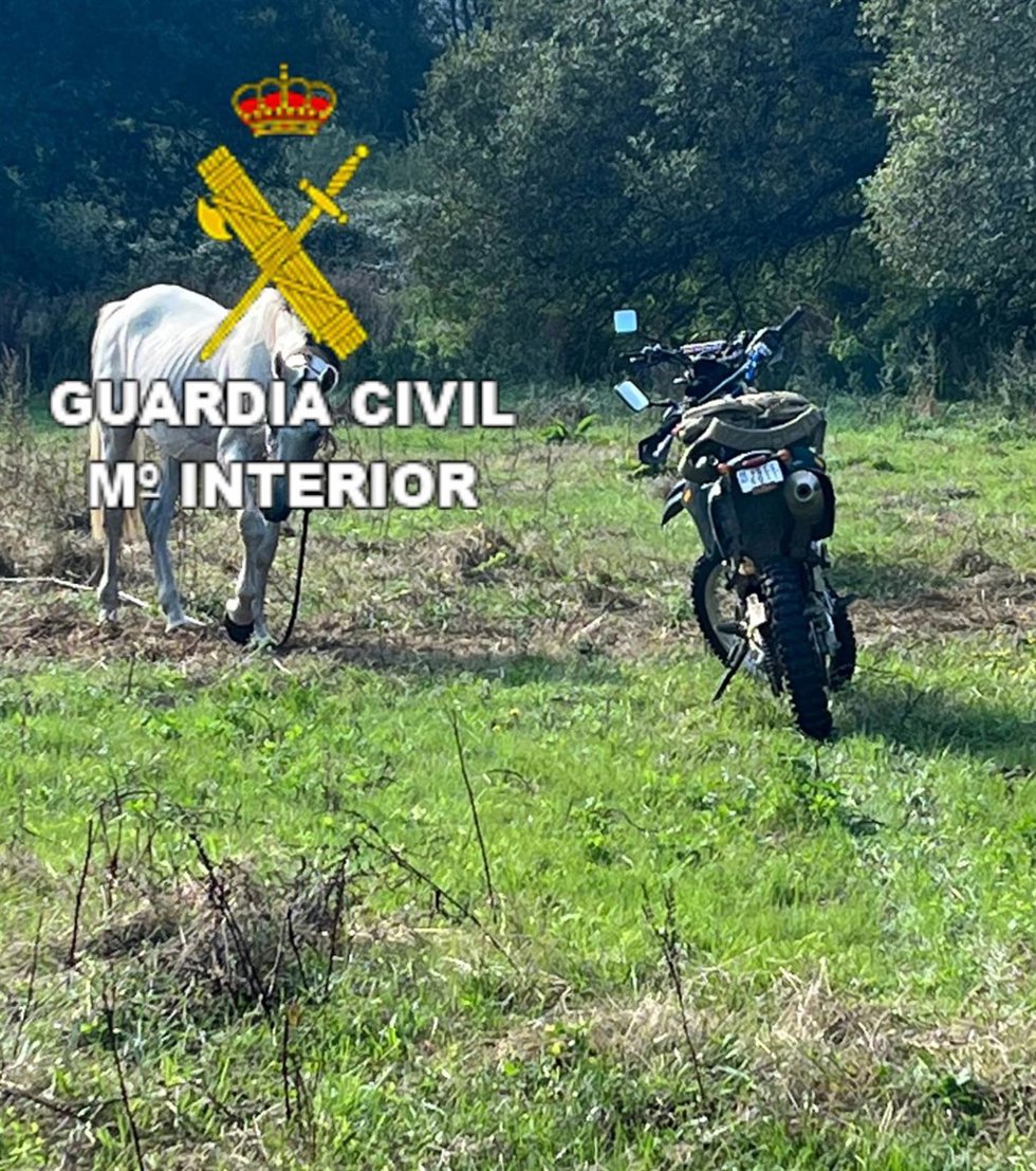 Caballo recuperado