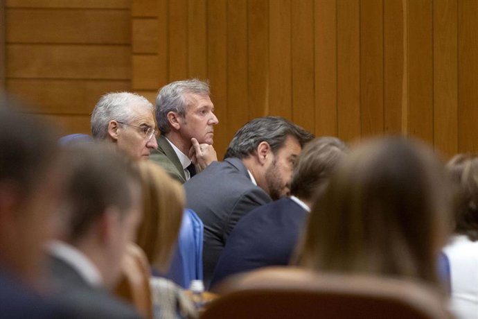 Alfonso Rueda en el pleno de este miércoles. 