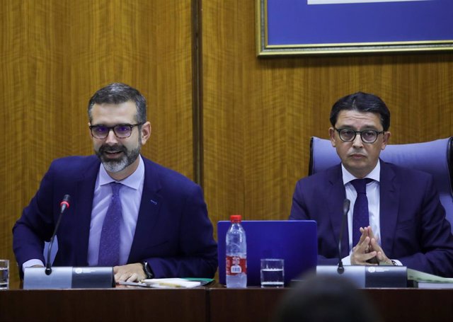 El consejero de Sostenibilidad, Medio Ambiente y Economía Azul de la Junta de Andalucía, Ramón Fernández-Pacheco, en comisión parlamentaria