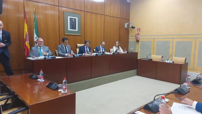 El consejero de Justicia, Administración Local y Función Pública, José Antonio Nieto, en la Comisión de Justicia del Parlamento de Andalucía.