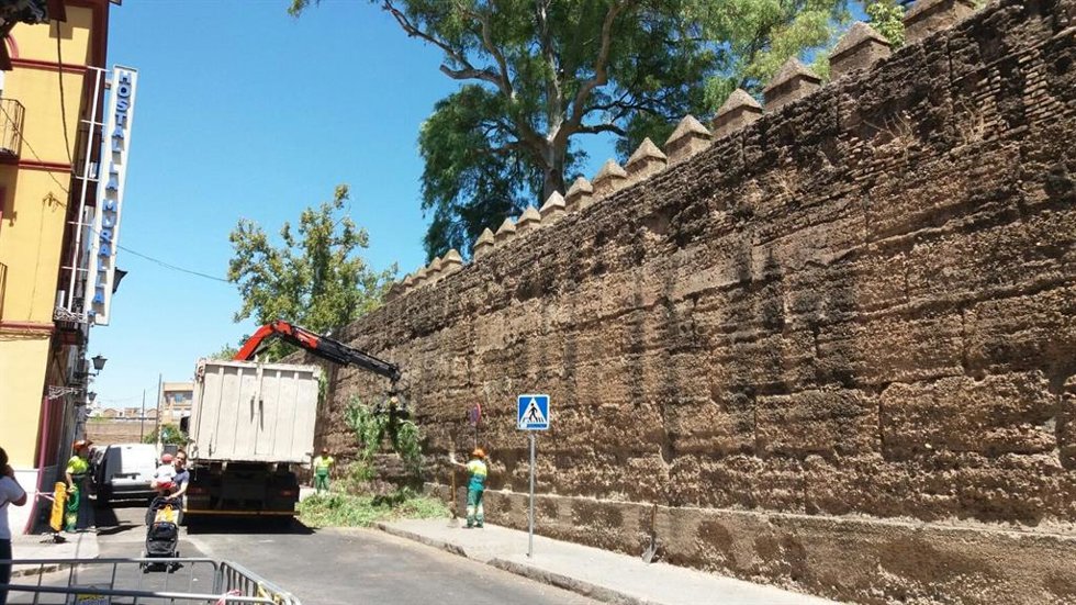 Archivo - Imagen de archivo de los trabajos municipales en la zona de muralla de la Macarena, entorno al que pertenece la Puerta de Córdoba de la Iglesia de San Hermenegildo.