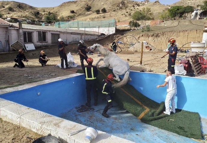 Bomberos rescatan a un caballo que se cayó a una piscina vacía en una finca de El Molar