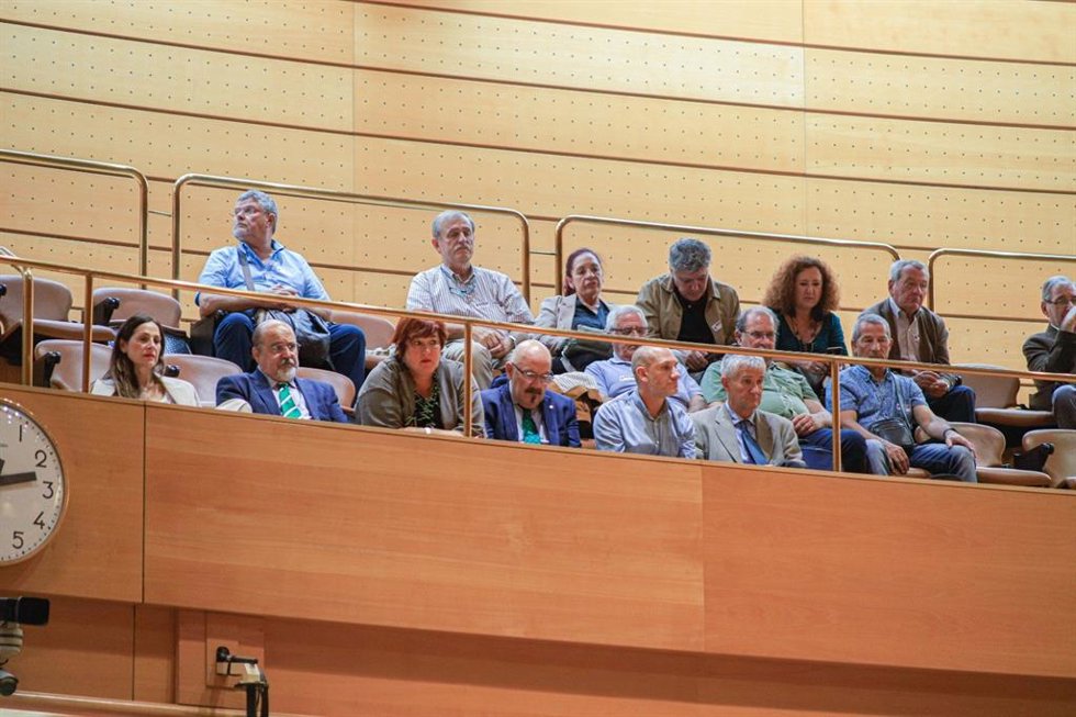 Delegación del Parlamento vasco en el Senado