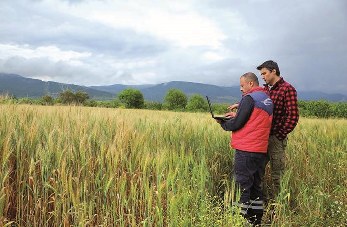 Archivo - Ibercaja ofrece una gama de seguros para cubrir los riesgos climáticos y productivos de las explotaciones agropecuarias.