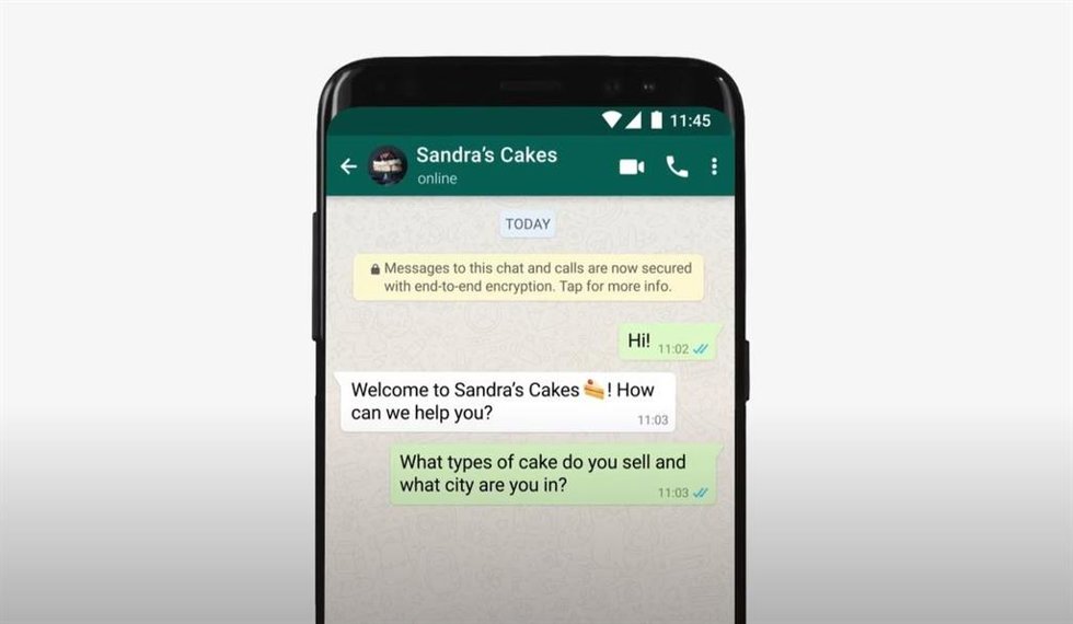 Captura de WhatsApp Business