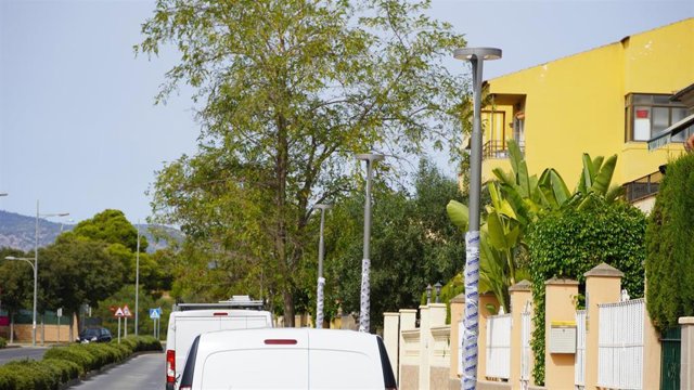 Nuevas luminarias en el camino Cabana de Marratxí.