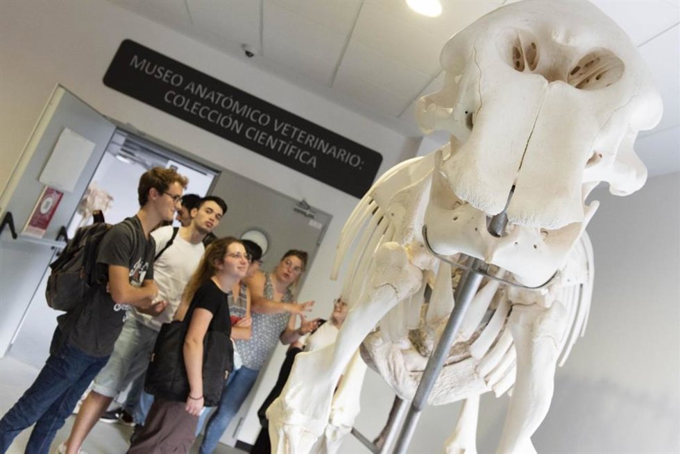 Imagen de la inauguración de la colección científica del Museo Anatómico Veterinario
