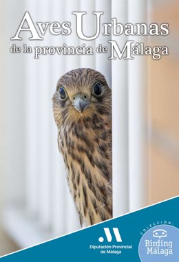 Casares acoge este sábado 8 de octubre un taller sobre aves migratorias.