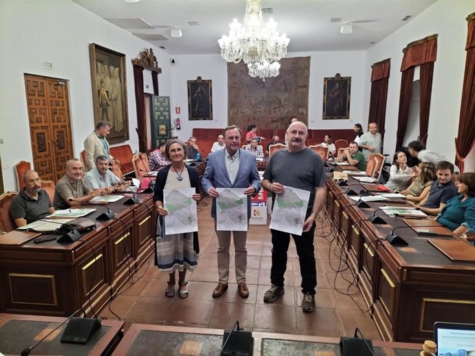 Palomares (centro), en la reunión técnica celebrada en el Palacio de la Merced para el diseño de una red de infraestructuras viarias ligeras en la provincia.