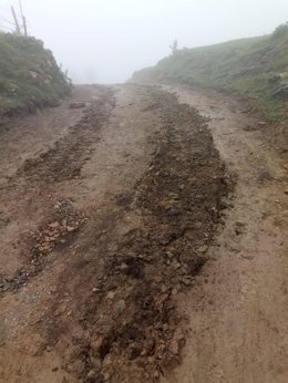 Imagen de la pista agroforestal, en Proaza.