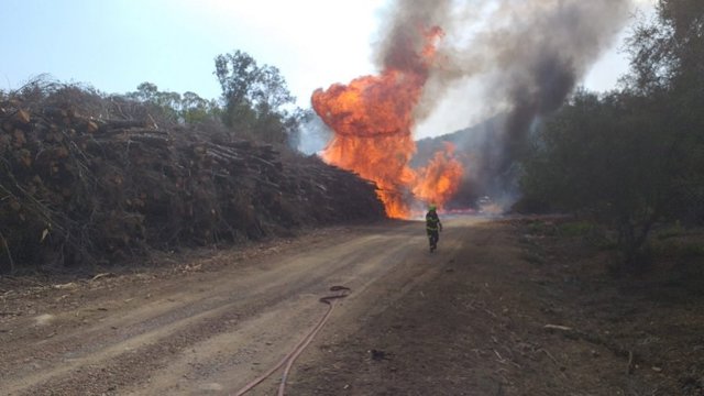 Incendio en la Finca Borondo en San Roque.