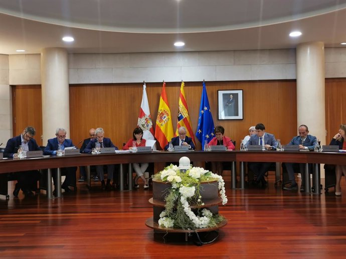 Sesión del pleno de la DPH.