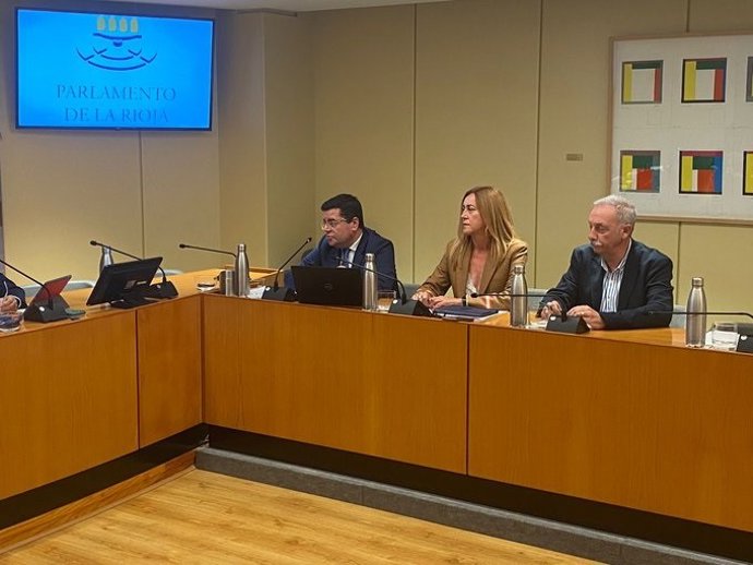 El diputado del PP, Alfonso Domínguez, participa en la Comisión de Presupuestos