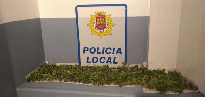 La Policía Local de Haro incauta más de diez plantas de marihuana