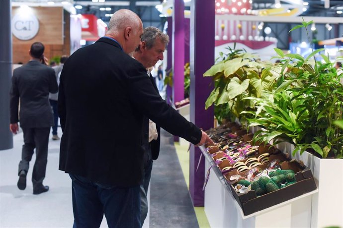 Un estante de hortalizas en la Feria Internacional de Frutas y Verduras, Fruit Attraction 2023'.