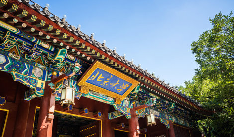 Comunicados Internacional