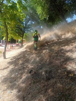 Tareas previas de desbroce en el recinto ferial.