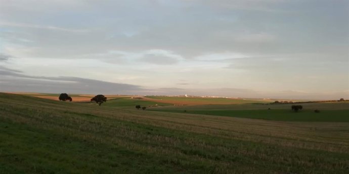 Archivo - ZEPA del Alto Guadiato.