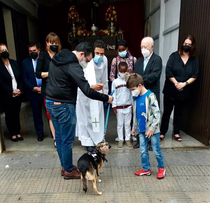 Imagen de la bendición de animales en Pérez Cubillas (Huelva).