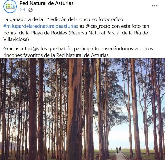 Anuncio de la fotografía premiada