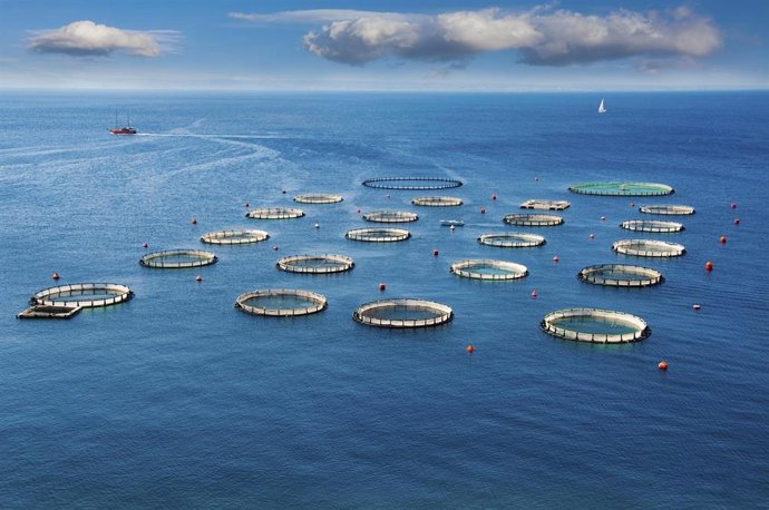 Archivo - Piscifactorías