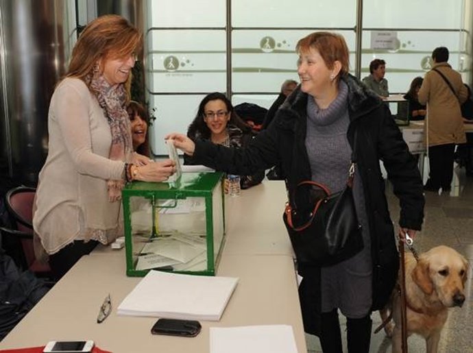 Elecciones internas en la ONCE