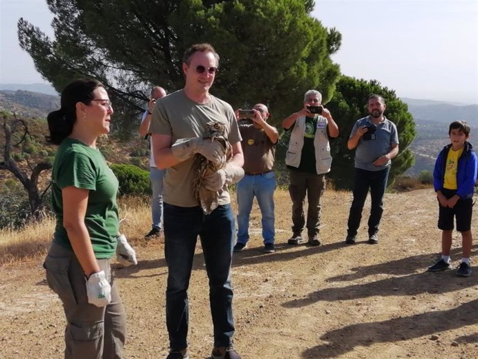 Técnicos liberan a las aves recuperadas