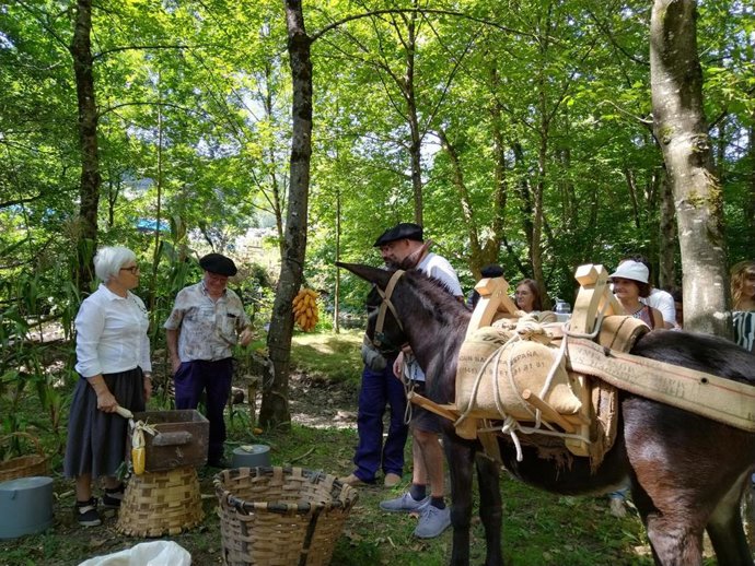 Día del molino de Zubieta