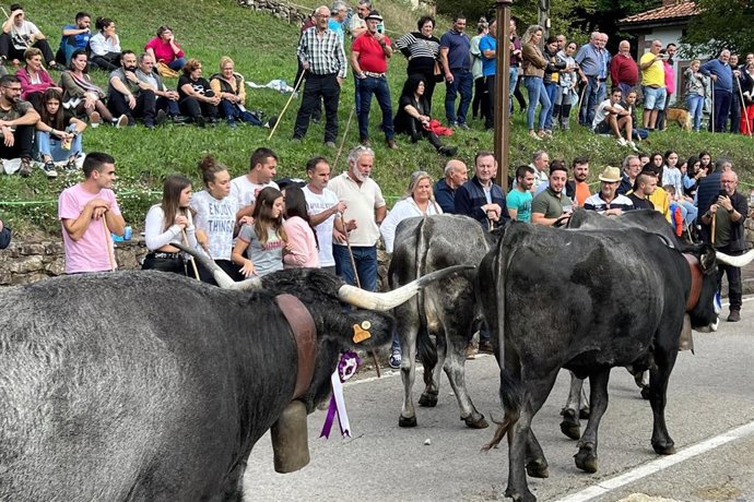 El consejero de Desarrollo Rural, Guillermo Blanco, asiste al Día de la Pasá de Carmona