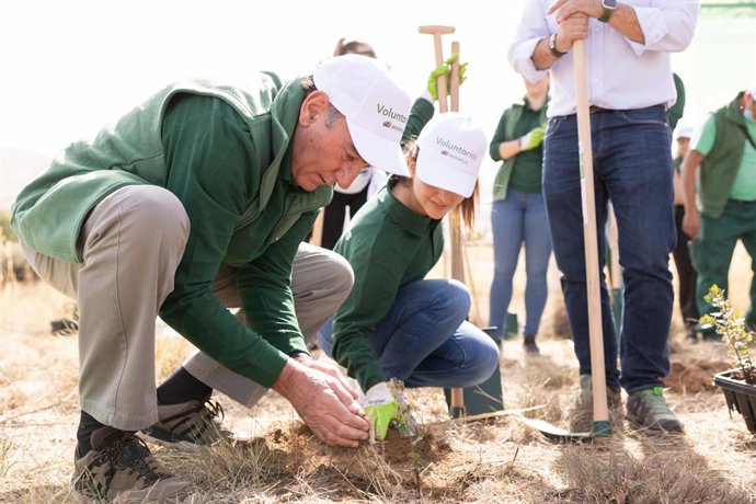 El presidente de Iberdrola, Ignacio Galán, participa en la jornada de reforestación inclusiva desarrollada en Navalacruz (Ávila), zona devastada por las llamas.