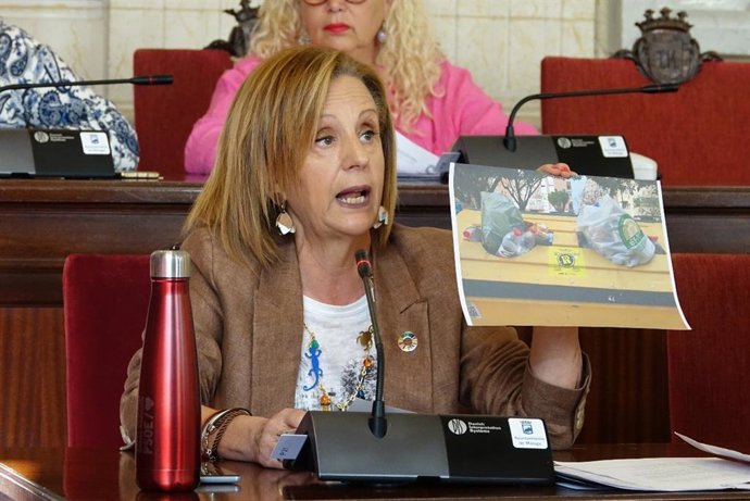 Archivo - La viceportavoz socialista en el Ayuntamiento de Málaga, Begoña Medina, en una imagen de archivo