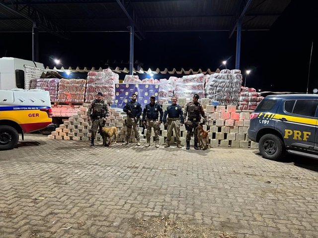 Alijo de cocaína hallado por la Policía Federal de Tránsito del estado de Minas Gerais, en Brasil