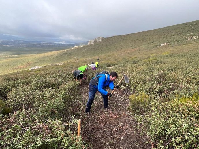El consejero de Desarrollo Sostenible, José Luis Escudero, en las tareas de recuperación