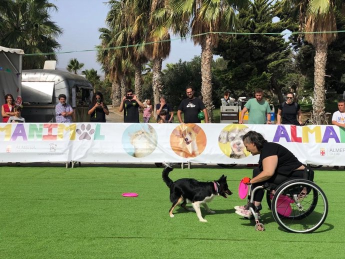 Feria AlmAnimal