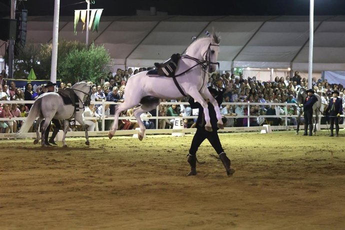 Espectáculo ecuestre en la Pará de Gines