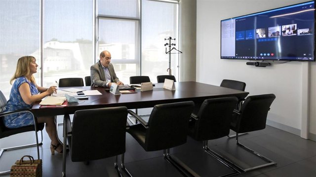 Archivo - La Consejera De Empleo Y Políticas Sociales, Eugenia Gómez De Diego, En Una Reunión Telemática Del Consejo De Formación Profesional