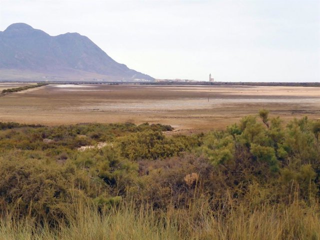 Archivo - Vista en julio de Las Salinas de Cabo de Gata desde el mirador ambiental junto a la carretera