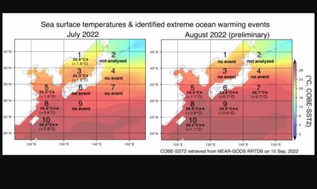 Temperaturas de la superficie del mar observadas en julio y agosto de 2022 cerca de Japón y diez áreas de monitoreo.