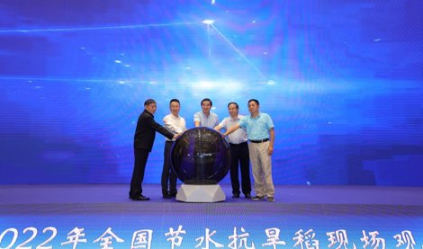 Comunicados Internacional